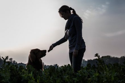 Hunde-Fotos Wilhering