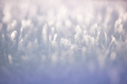 Foto Eiskristalle