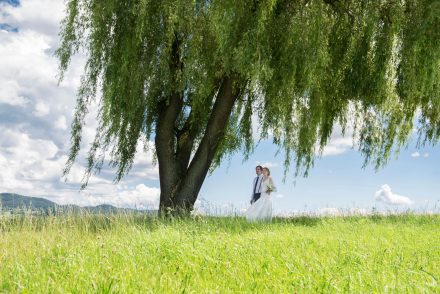 Fotografie Hochzeit Paarfoto unter Baum