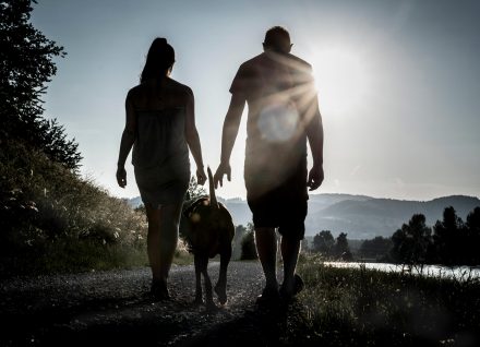 romantischer Hundespaziergang