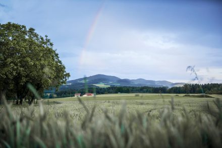 Fotografie Hochzeit Regebogen