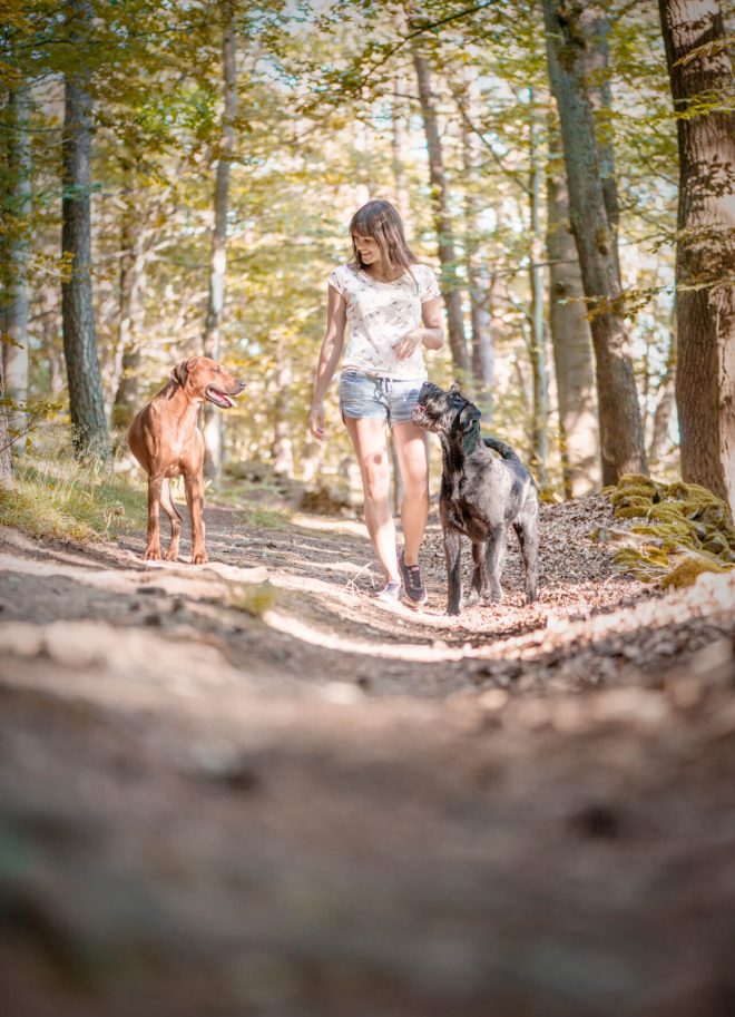 Hundefotos Mindful Dogs