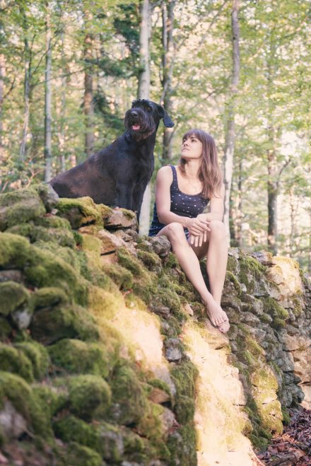 Spaziergang im Wald Hundefotografie