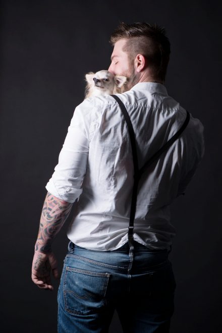Tierfotografie Chihuahua im Studio